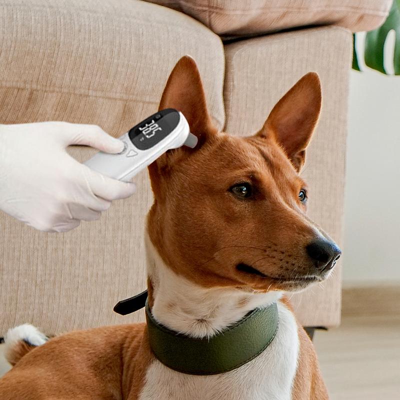 Pet Supplies Vet - Termometer hewan peliharaan, perangkat deteksi demam