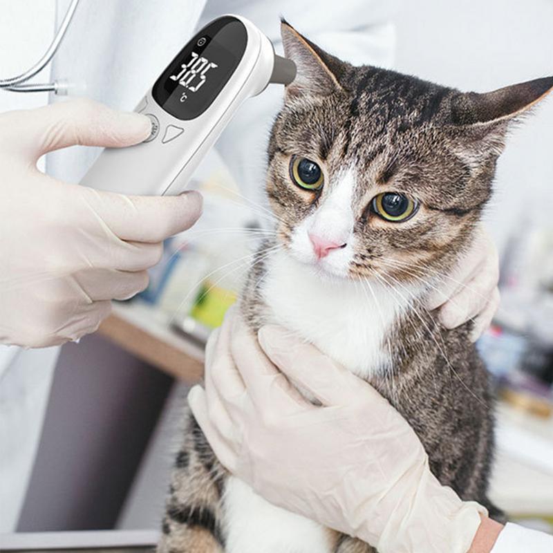 Termometer hewan peliharaan, p - Pet Supplies Vet ulasan dan harga