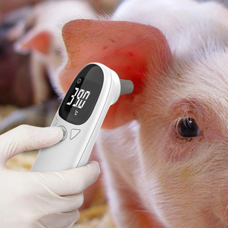 Termometer hewan peliharaan, p - Pet Supplies Vet ulasan dan harga