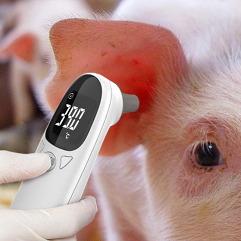 Termometer hewan peliharaan, p - Pet Supplies Vet ulasan dan harga