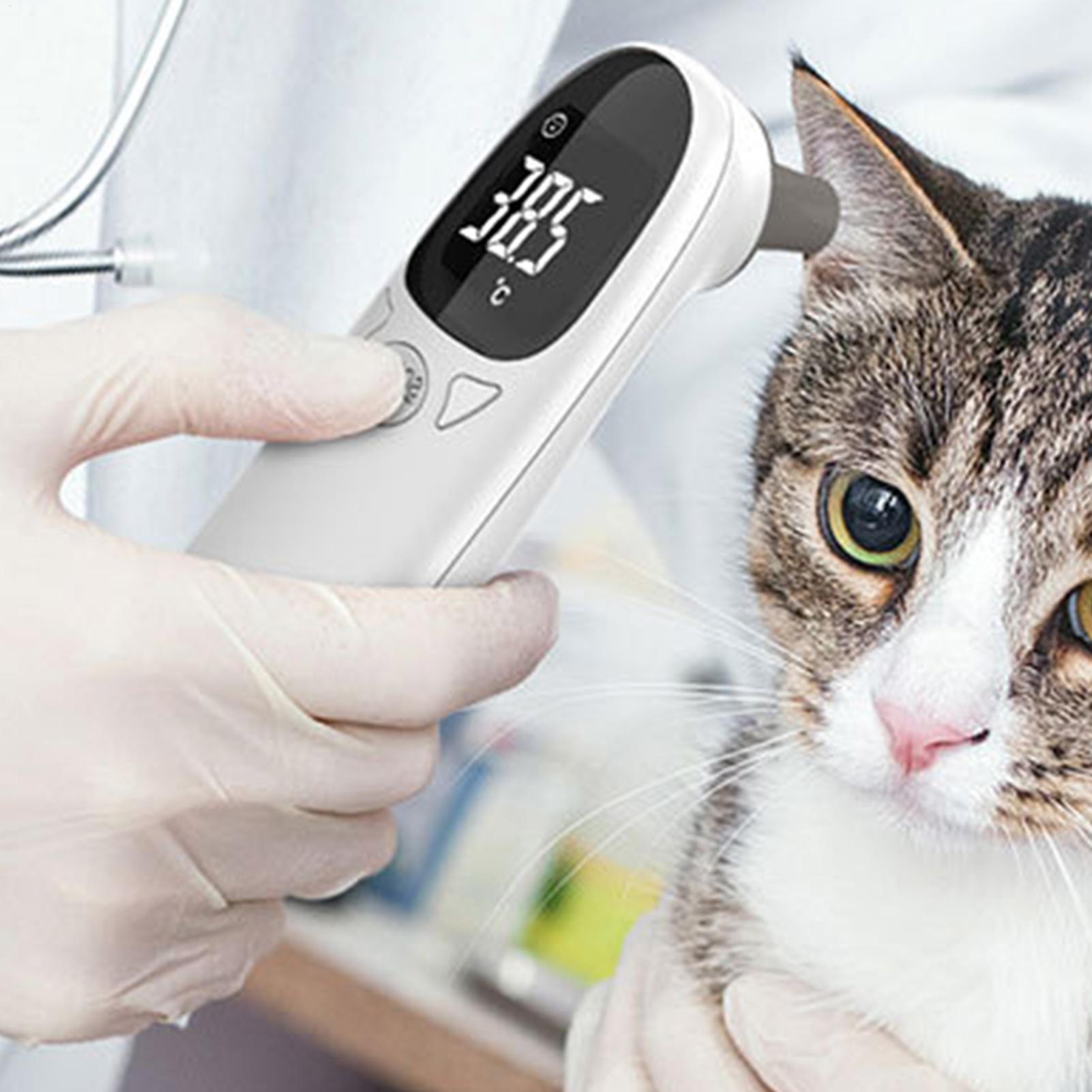 Termometer Telinga Anjing Kuci - Pet Supplies Vet ulasan dan harga
